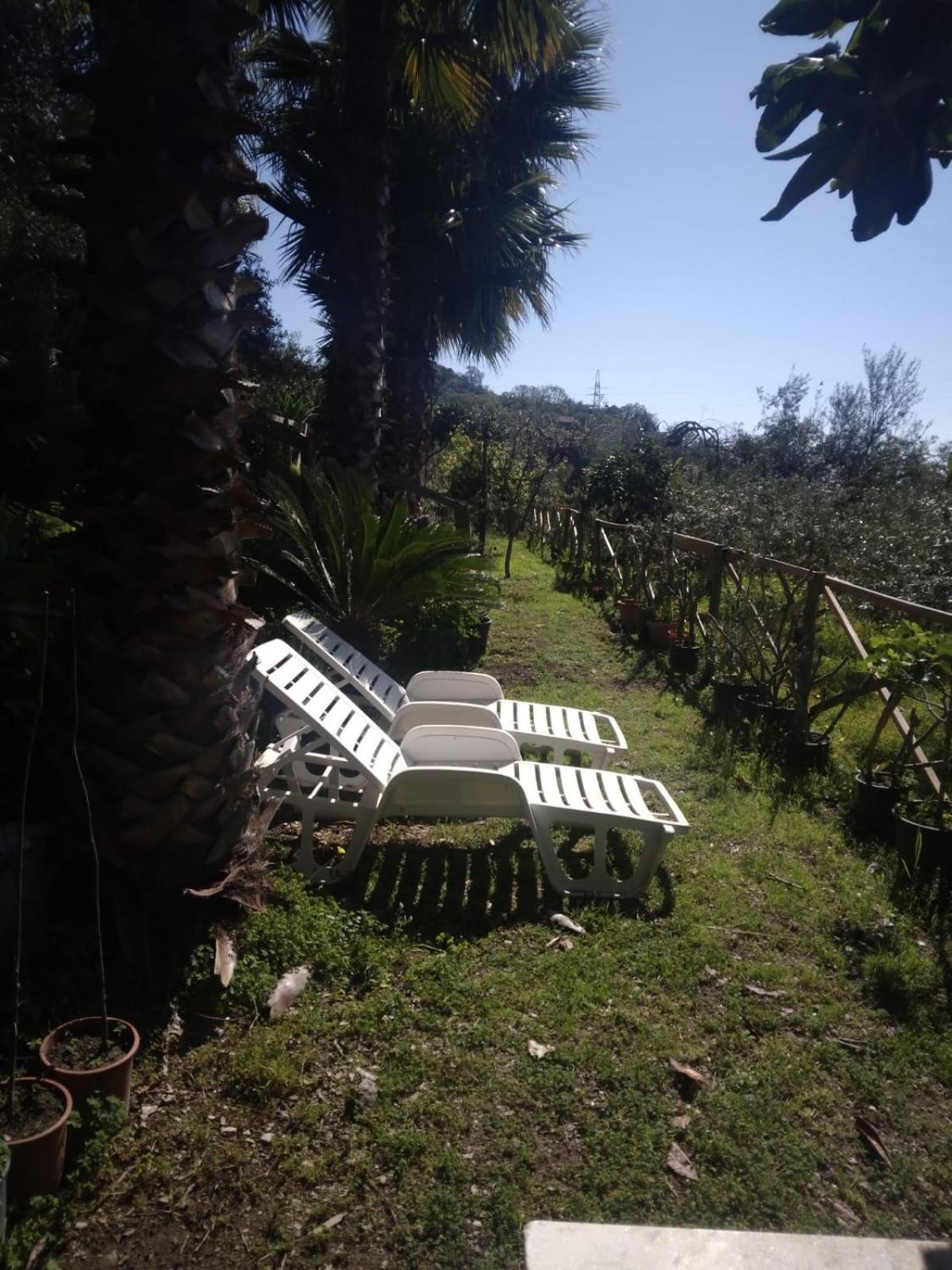 Casa Di Martina Villa ซาโวกา ภายนอก รูปภาพ